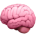 brain